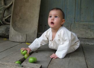 Seminar dječjeg folklora pod nazivom „Žab, žab, žaba-laba“ Sisak, 21. veljače, 2026.