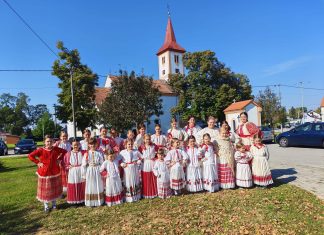Miholje u Ludini